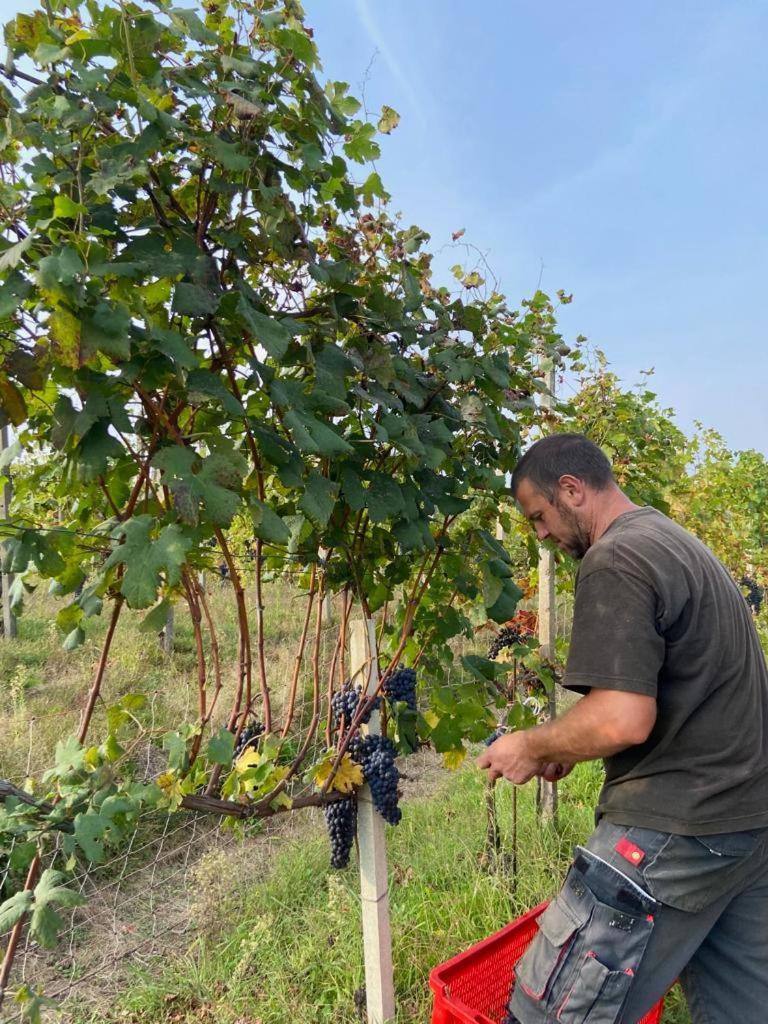 Agriturismo L'Antico Sapore Baraggia di Boca 외부 사진