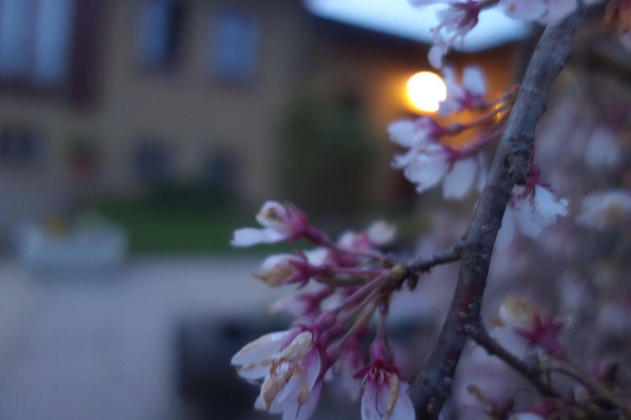 Agriturismo L'Antico Sapore Baraggia di Boca 외부 사진